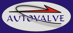 Autovalve Cc logo