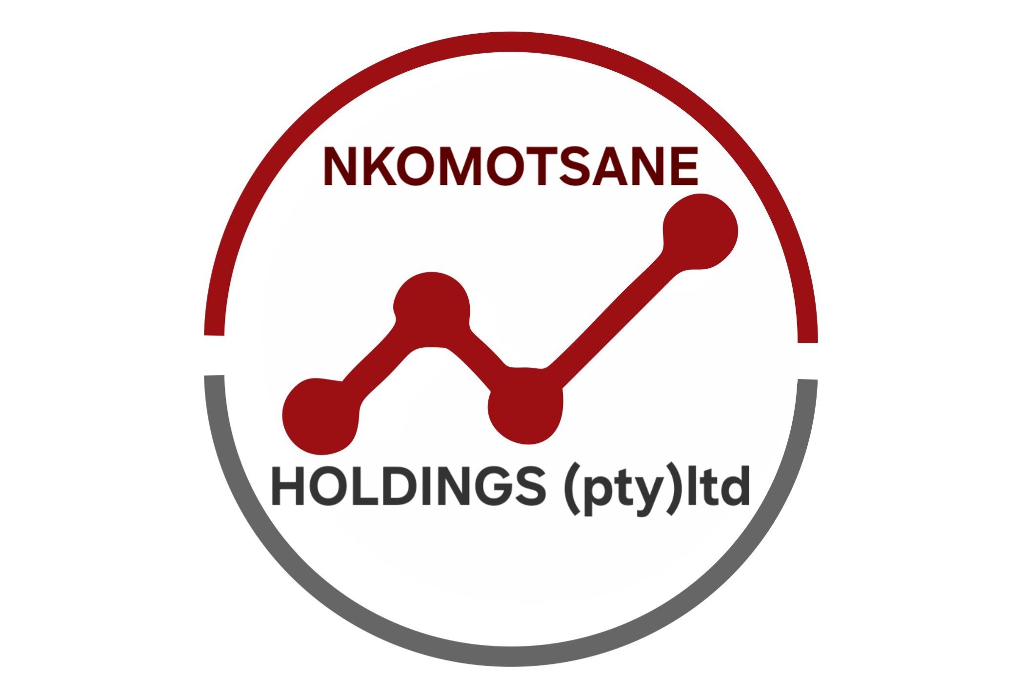 Nkomotsane Holdings (Pty) Ltd logo