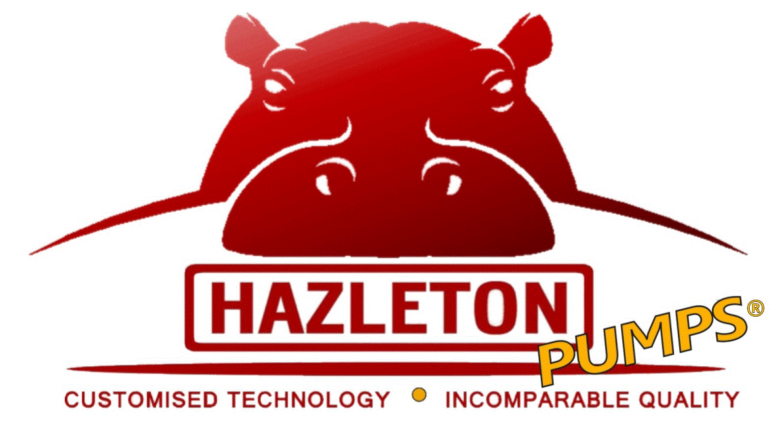 Hazleton Pumps International (Pty) Ltd logo