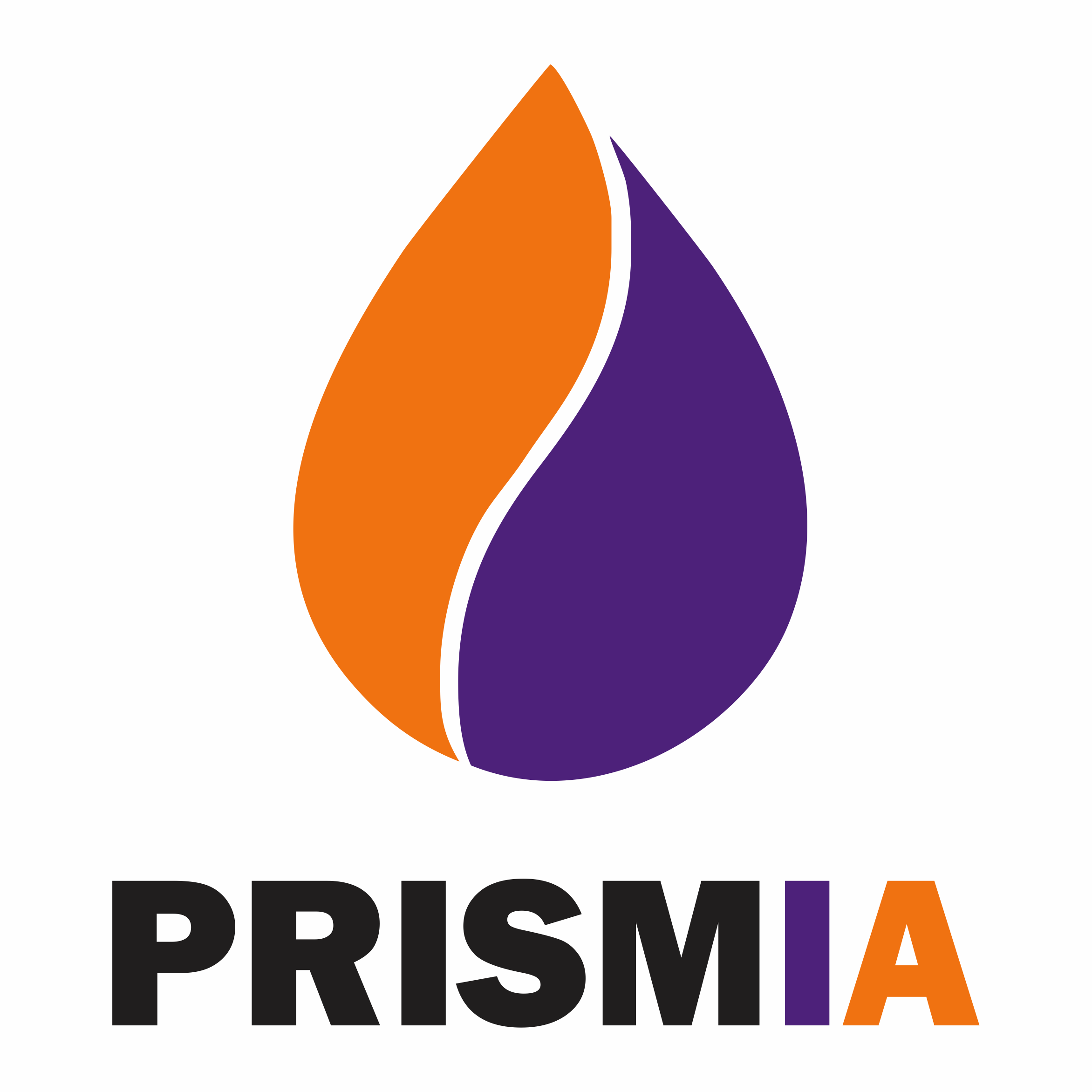 Prism Inter Africa cc logo
