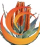 LFM Consulting services logo
