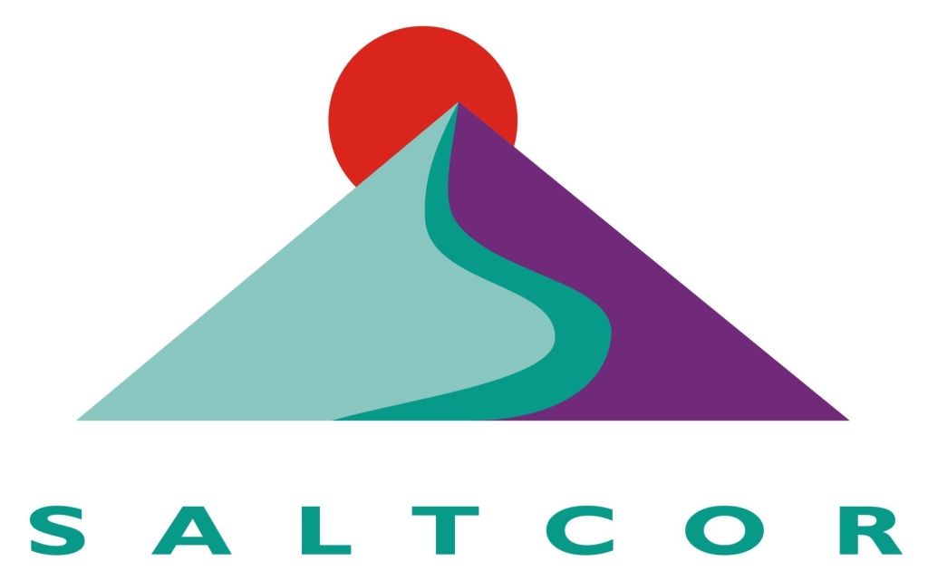 Saltcor (Pty) Ltd (Unverified) logo