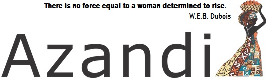 Azandi Services and Supplies (Pty)Ltd logo