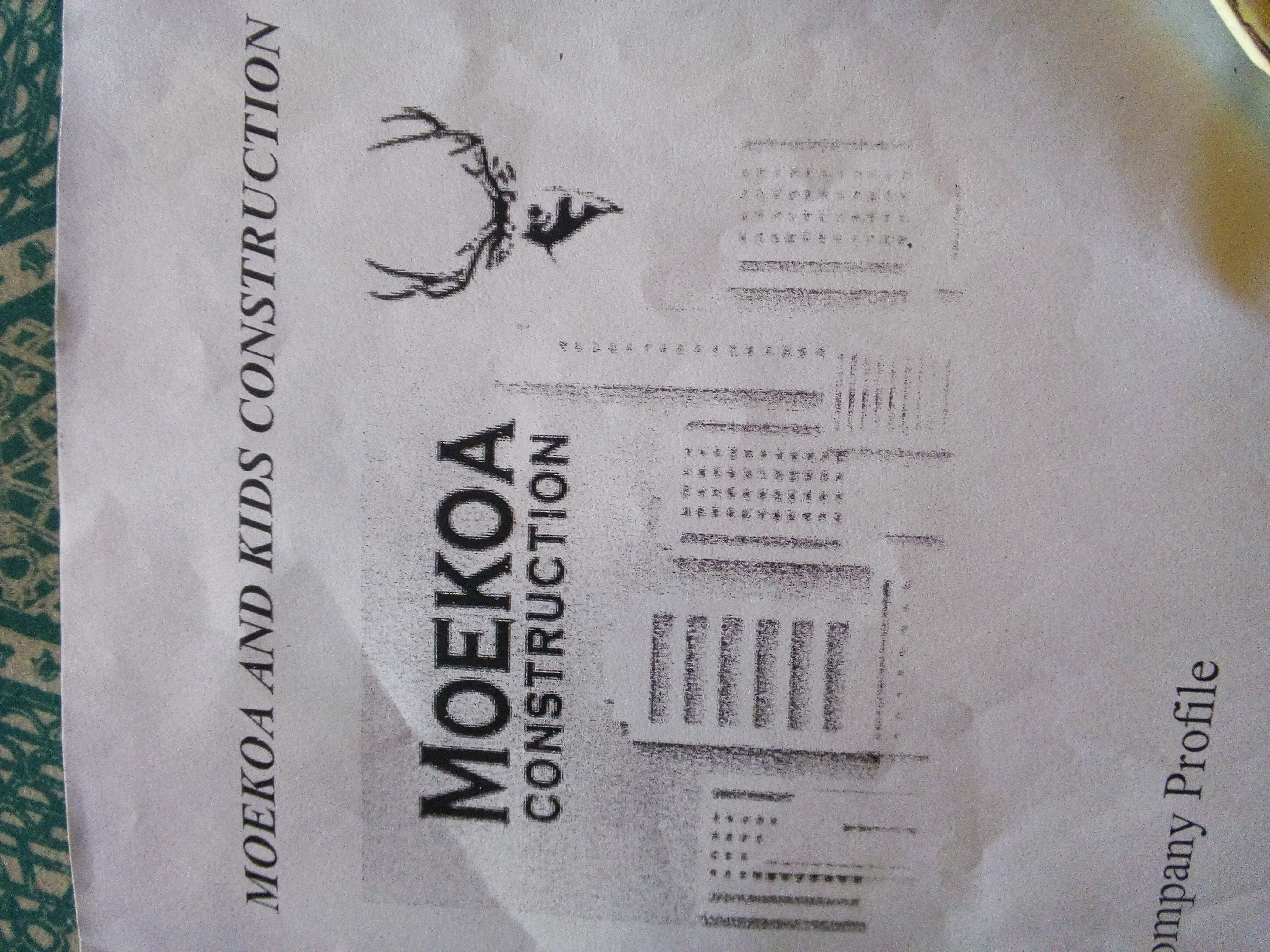 Moekoa and Kids Construction (Unverified) logo